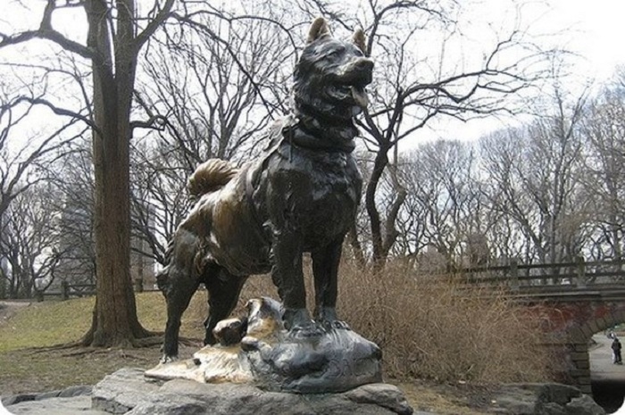Памятник Балто в Центральном парке в Нью-Йорке.