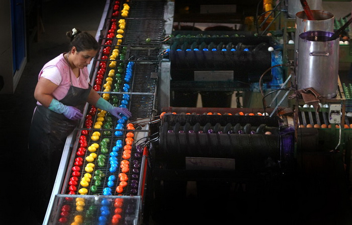 Германия. На фабрике в Танхаузене ежедневно красят около 180 тысяч сваренных вкрутую яиц