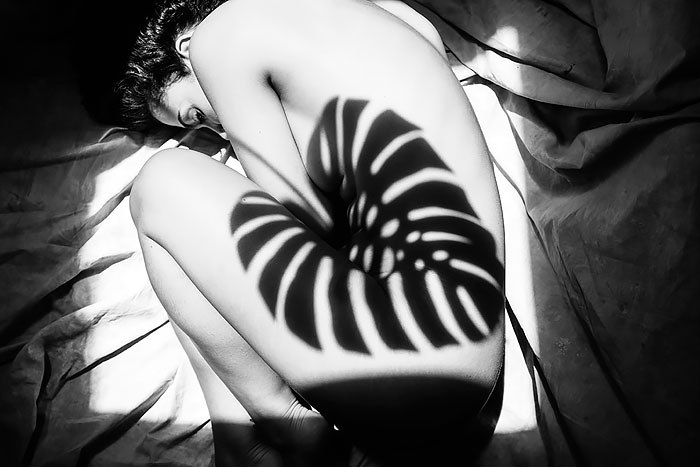 Обнаженные женские тела, одетые в тени, на снимках от Эмилио Джименез