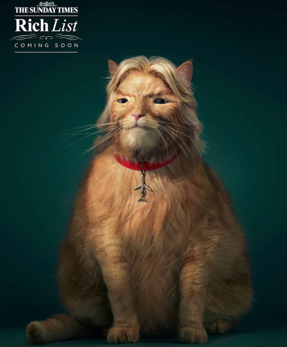 Жирные коты: пародийный проект от издания The Sunday Times