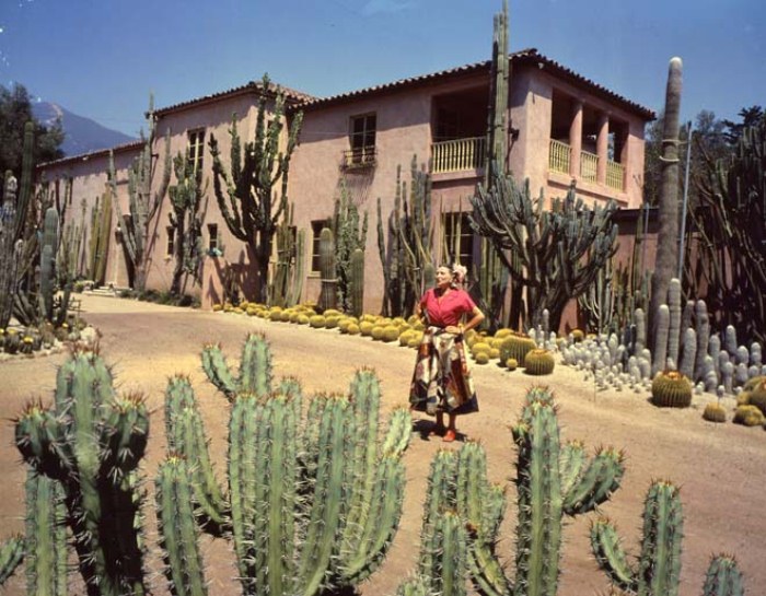 Розовый дом и мексиканский пейзаж.