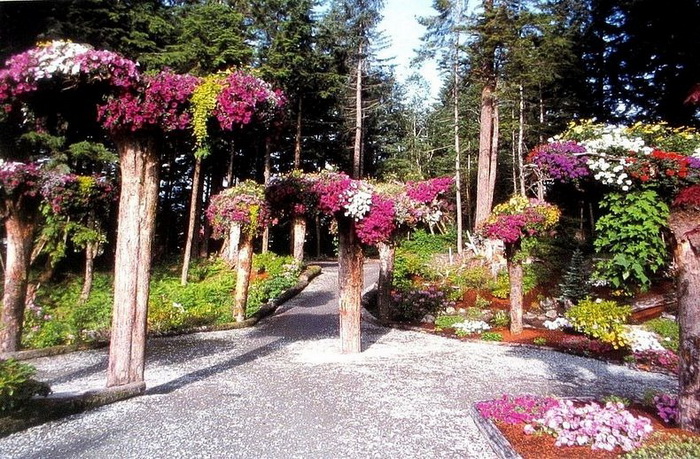 Ботанический сад Glacier Gardens на Аляске