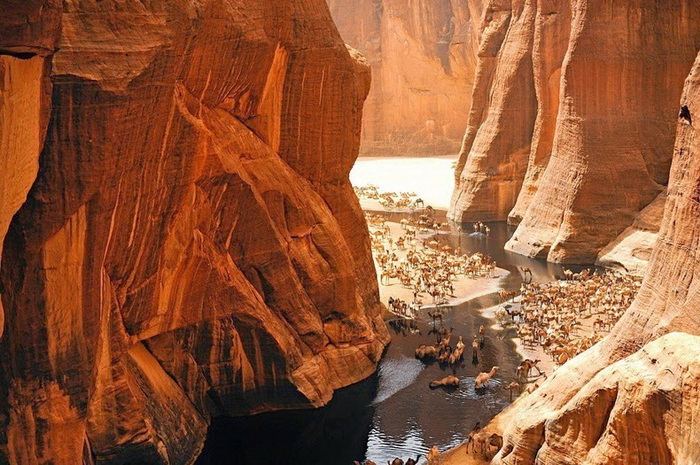 Гельта д’Аршей (Guelta d'Archei) – живописный оазис в пустыне Сахара