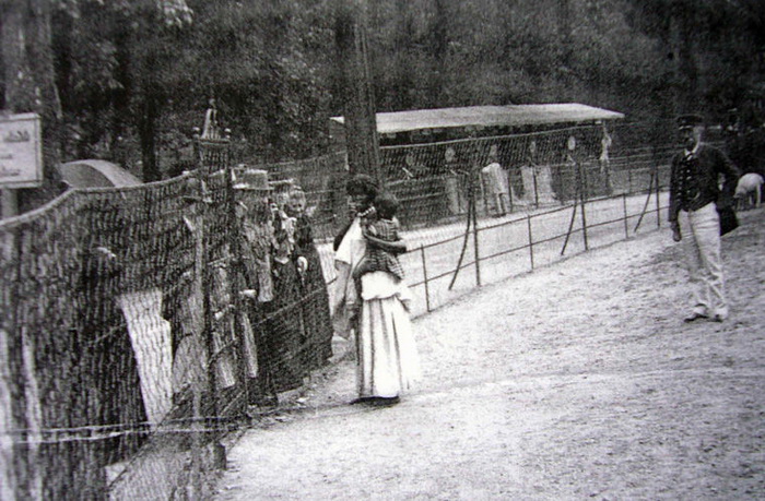 Вольер, обнесенные проволочным забором, в человеческом зоопарке