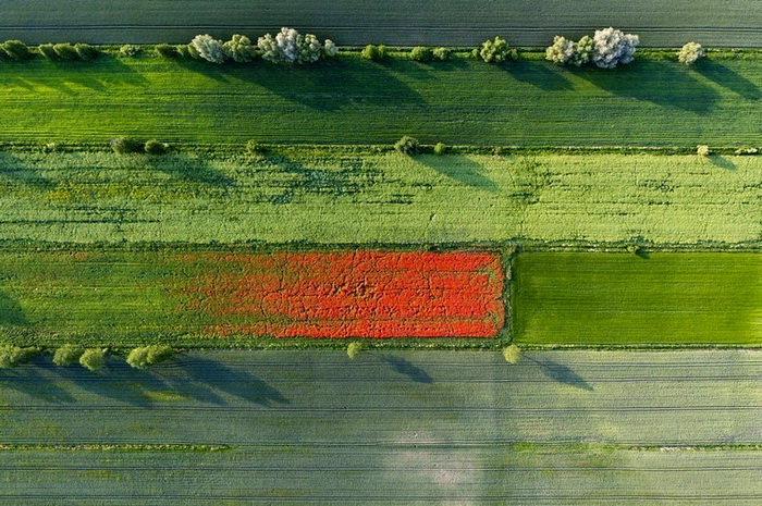 Поле в Польше. Аэрофотография от Каспера Ковальски (Kacper Kowalski)