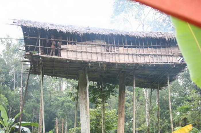 Дом на дереве - традиционное жилище в племени короваи