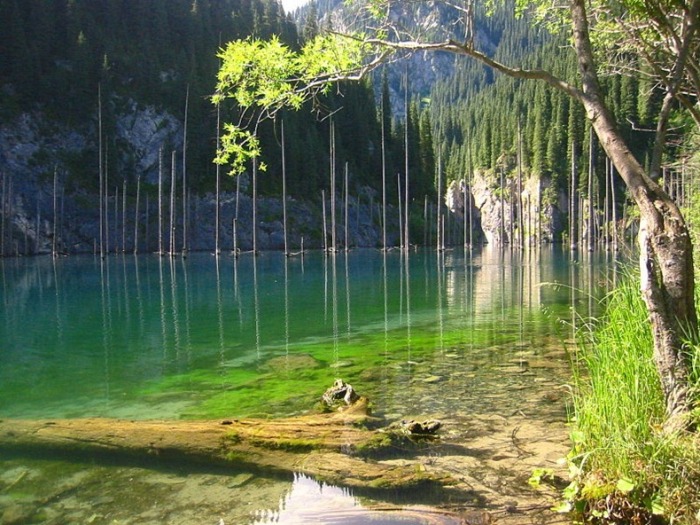 Озеро Кaindy в Казахстане