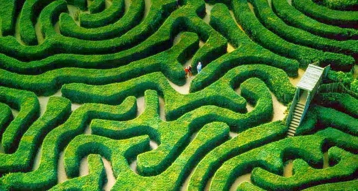 Зеленый лабиринт Longleat Hedge в Англии