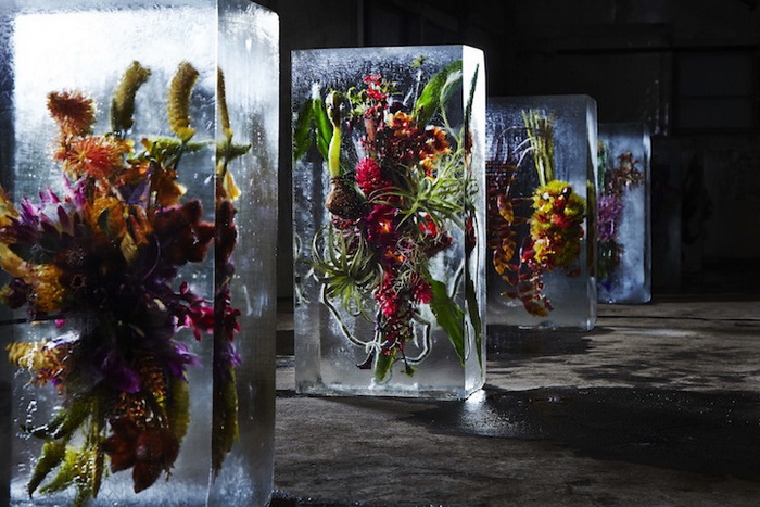 Ice Flowers: инсталляция от Макото Азума (Makoto Azuma)