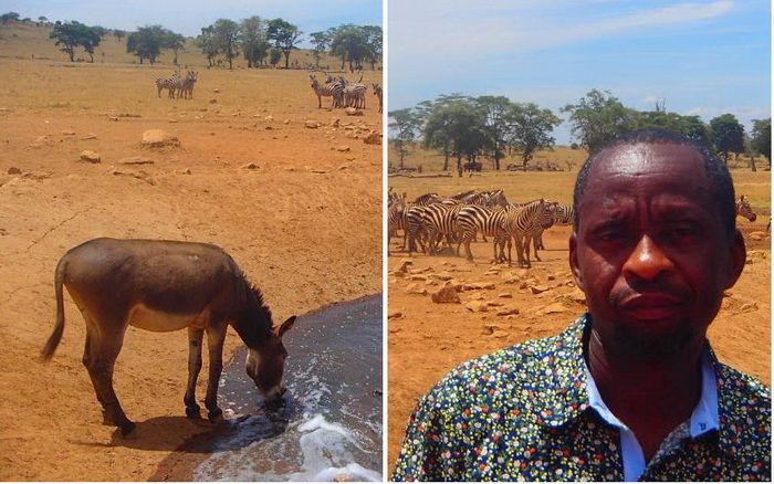 Мужчина привозит воду животным в Национальный парк Тсаво (Кения)