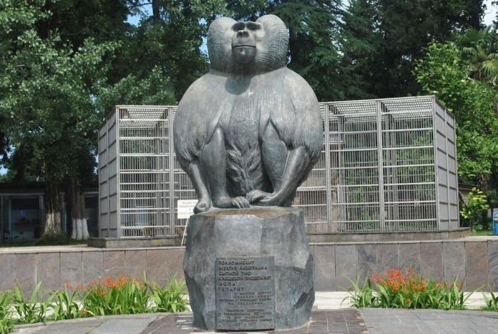 Памятник бабуину.