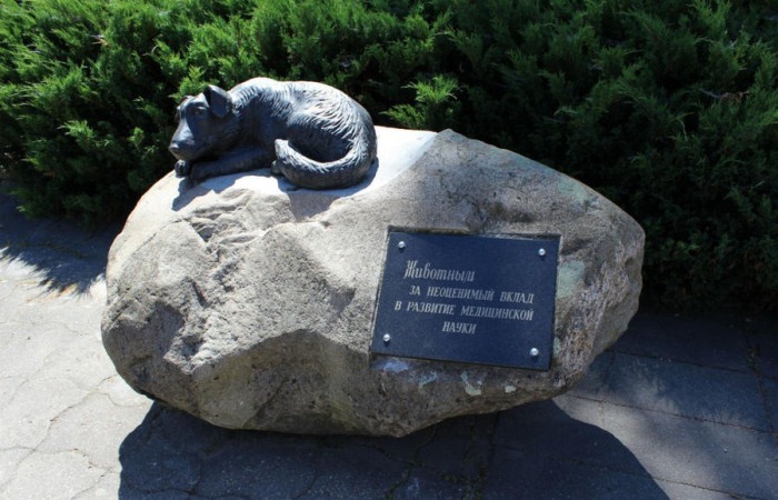 Памятник животным за неоценимый вклад в развитие медицинской науки.