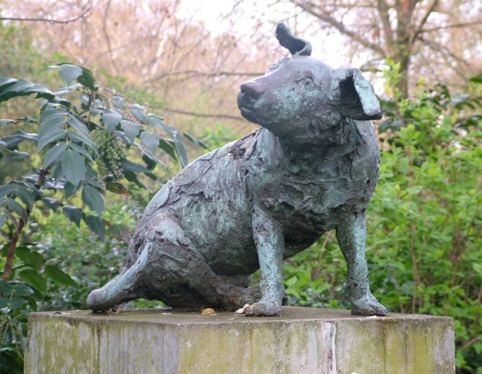 Памятник коричневой собаке.
