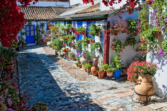 Патио, украшенные цветами