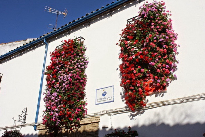 Цветочные композиции на окнах домов