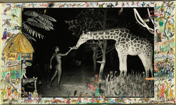 Необычный фотоальбом о природе Африки от Питера Берда
