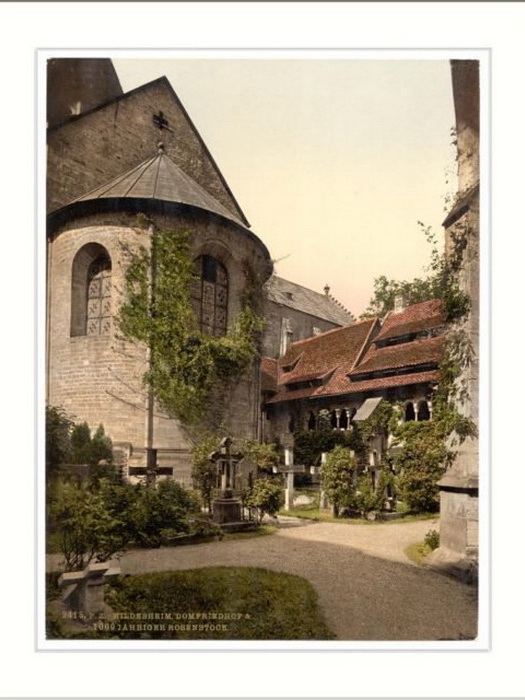 Старая открытка с изображением розы и собора. Выпущена около 1905 года.