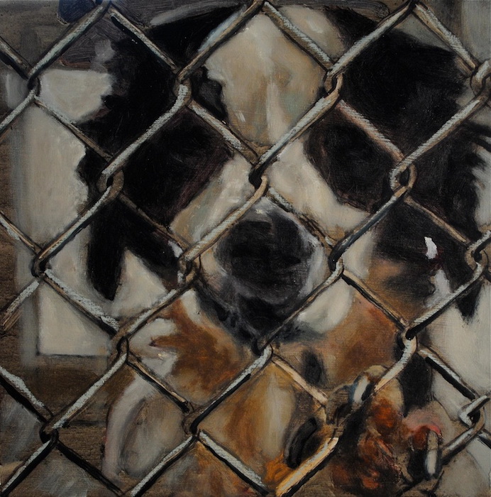 Марк Барон планирует нарисовать 5500 портретов бездомных собак