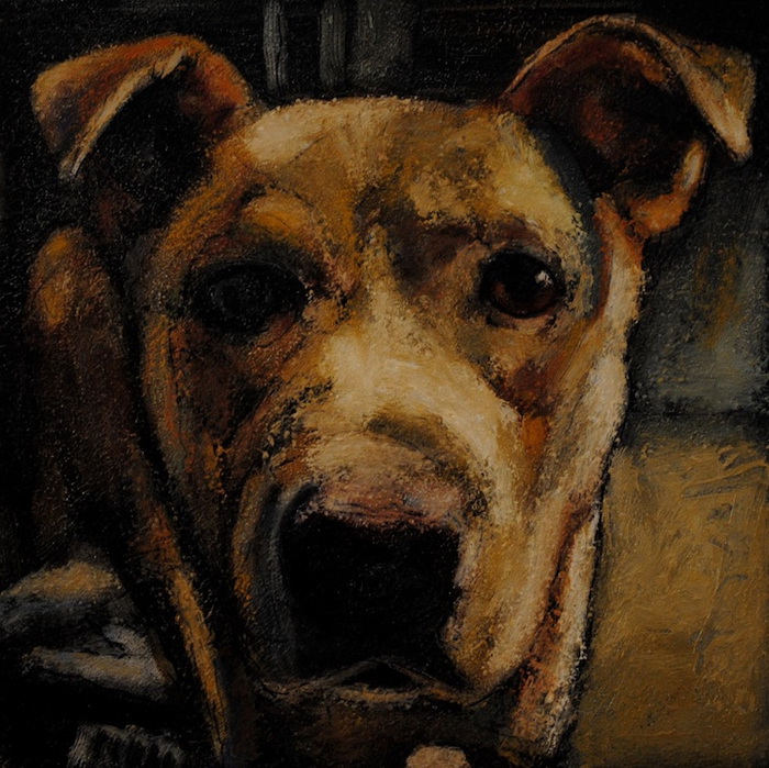 Марк Барон рисует собак, которые ежедневно умирают в приютах в США