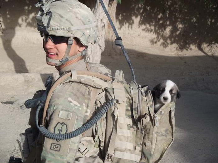 Солдат со спасенным щенком