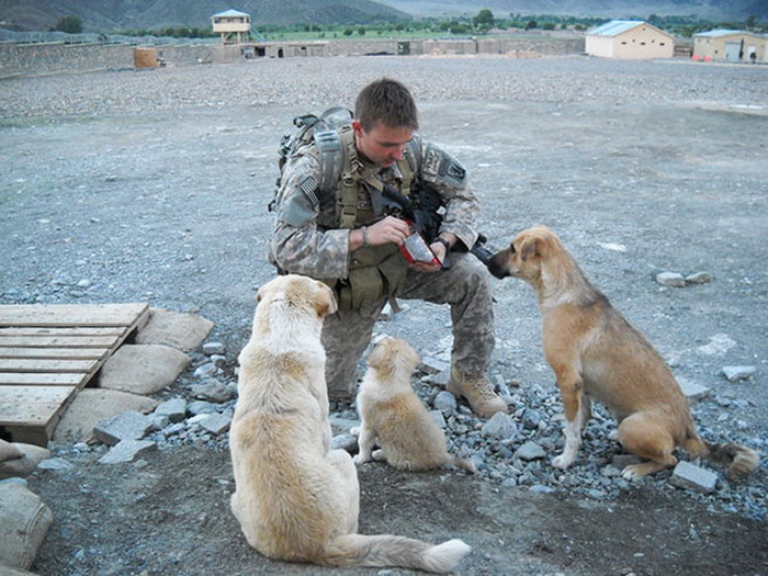 Солдат со своими лучшими друзьями