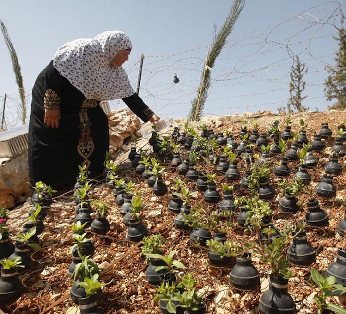 Сад-мемориал в Палестине