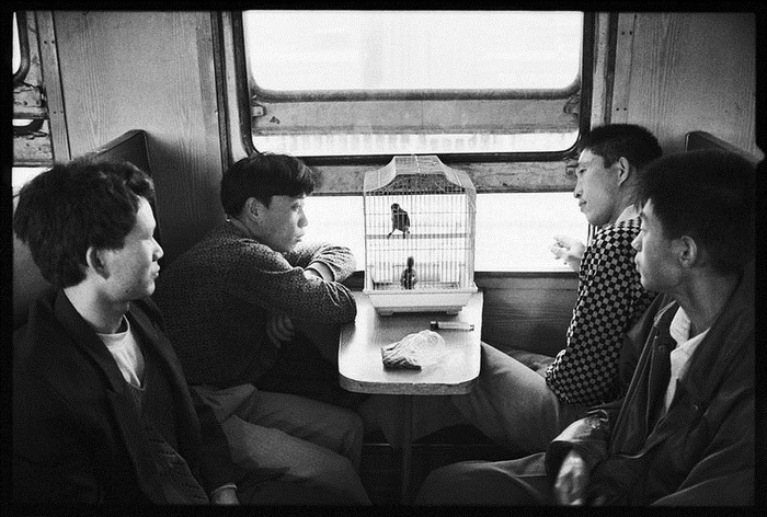 Документальный фотоцикл о *жизни* китайских поездов от Wang Fuchun
