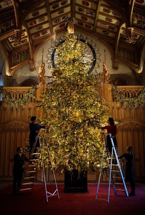 Рождественское дерево по традиции установили в Георгиевском зале.