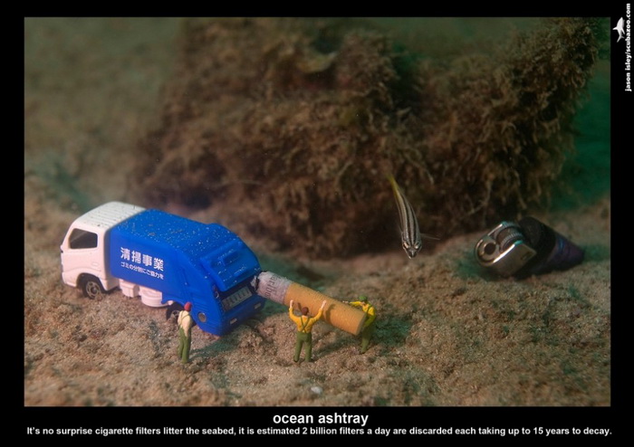 Маленькие подводные обитатели на снимках Джейсона Айзли (Jason Isley)