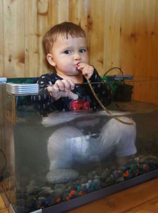 Неожиданно, но некоторые дети мечтают стать аквариумной рыбкой.