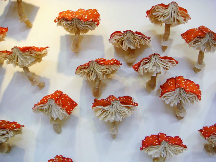 Необычные грибы-книги в инсталляции Мелиссы Крейг