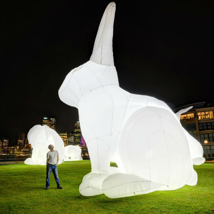 Не так давно в Лондоне появилась занятная инсталляция, изображающая нескольких белых кроликов