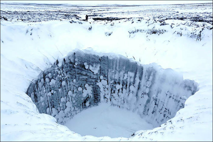 Фотографии были обнародованы несколько дней назад Российским центром освоения Арктики
