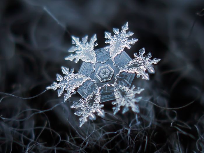 Alexey Kljatov: фотографии снежинок в режиме макросъемки