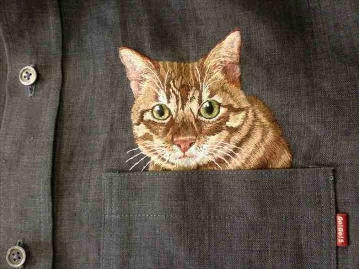 Хироко Кубота: коты в кармане сорочки 