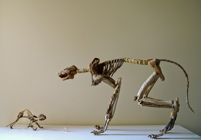 Коллекция скелетов Fragile Skeletons