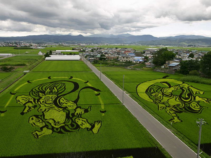 Лэнд-арт на рисовых полях Японии