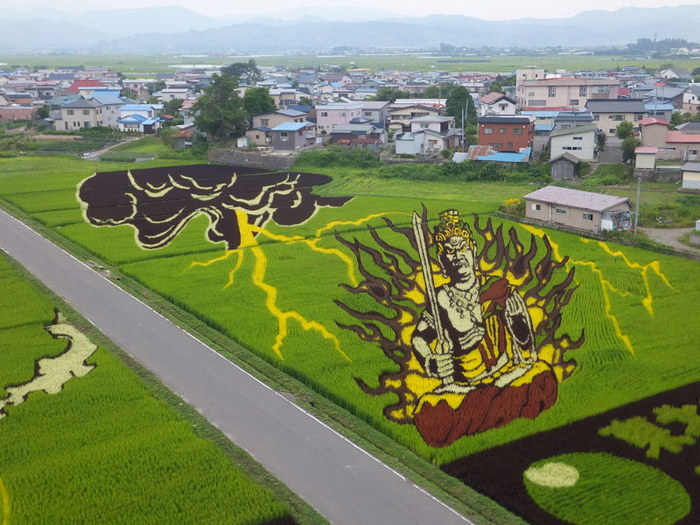Сказочные герои на рисовых полях Японии