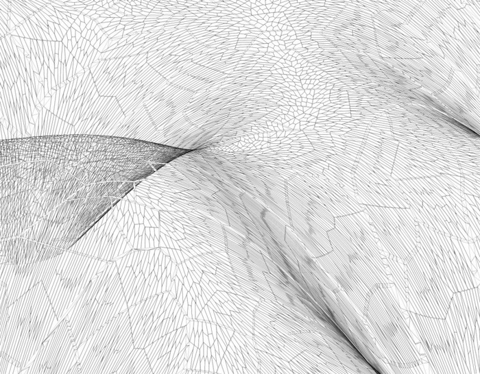 Рисунок поверхности купола повторяет распределение прожилок на листьях растений или структуру крыла бабочки