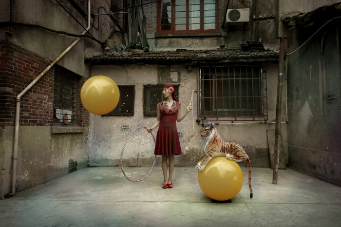 «Мой цирк», автор - Maleonn