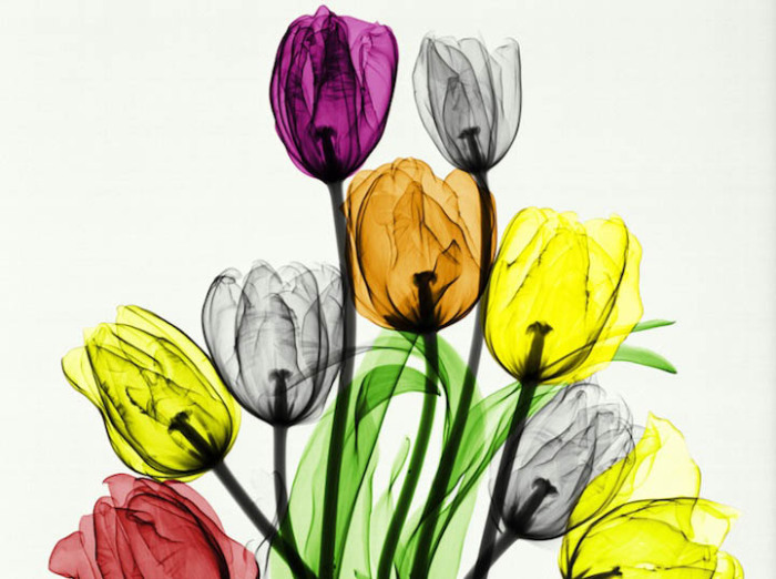 Букет тюльпанов - первая работа Arie van't Riet. 