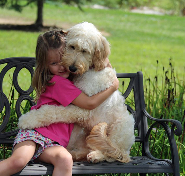 Очаровательная дружба между маленькой девочкой и собакой.