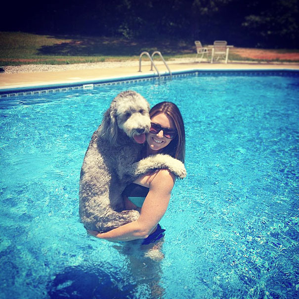 Пес и его хозяйка купаются в бассейне.