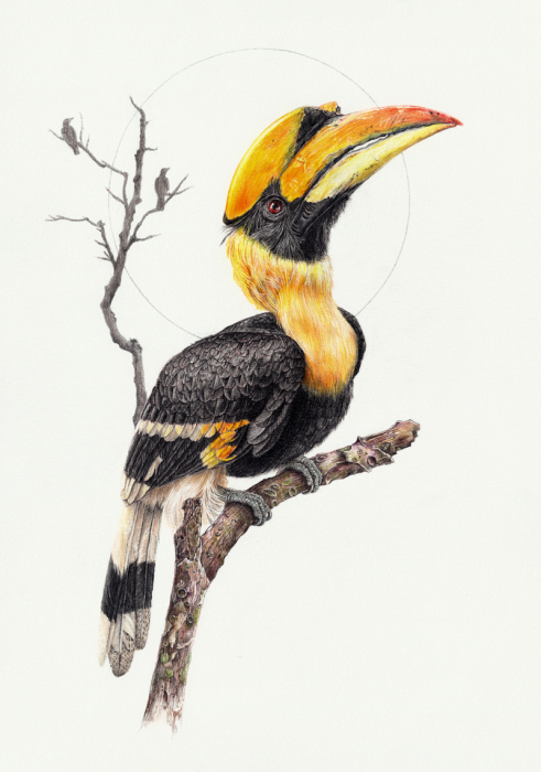 Удивительно реалистичный рисунок птицы от талантливой малазийской художницы.