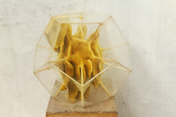 Скульптура из пчелиного улья от Рен Ри(Ren Ri).