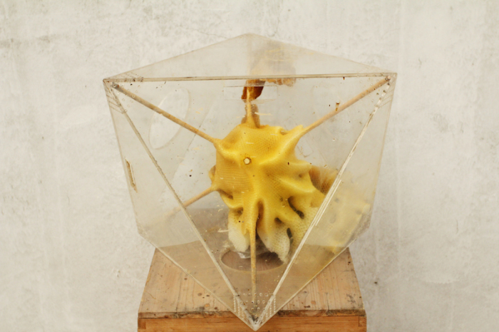 Инкапсулированная скульптура из пчелиного воска от художника Рен Ри (Ren Ri).