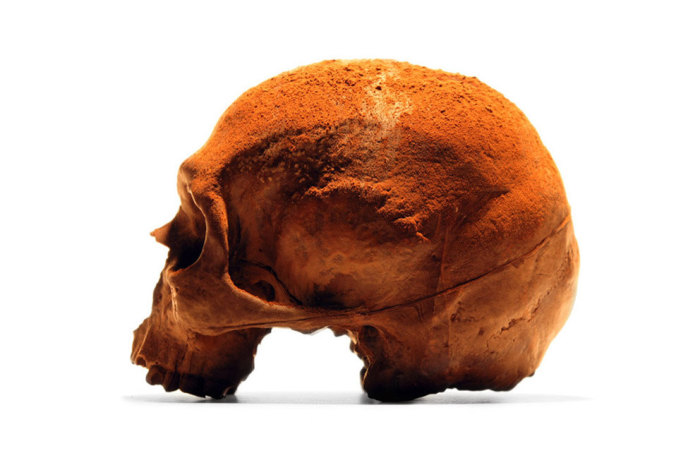 Шоколадный череп от BlackChocolateCo.