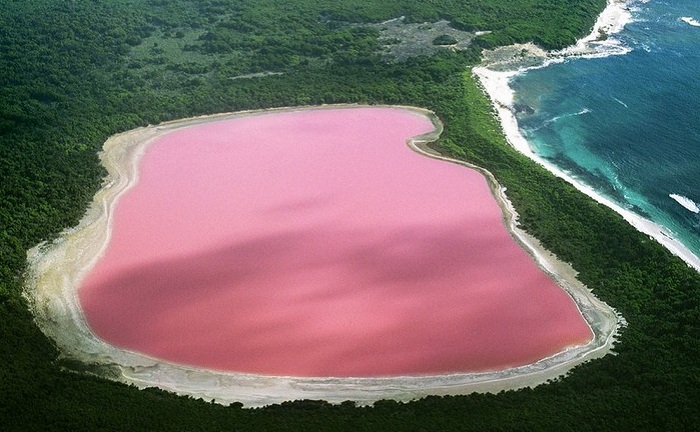 Розовое озеро - Hillier Lake (Австралия).