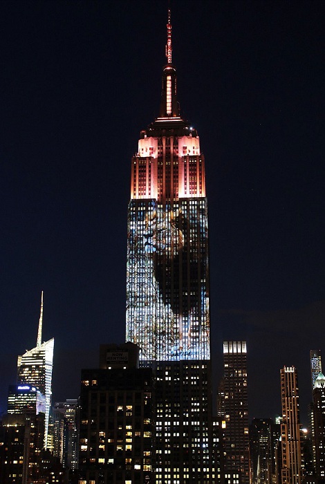 Empire State Building - огромный экран с изображением льва Сесила.