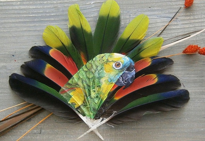 Перья попугаев, используемые в качестве холста.